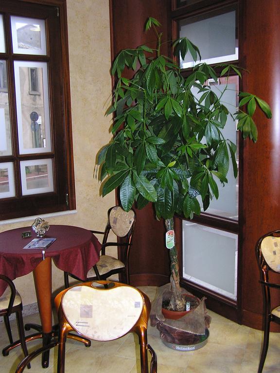 Hotel Mistral Portoscuso Dış mekan fotoğraf